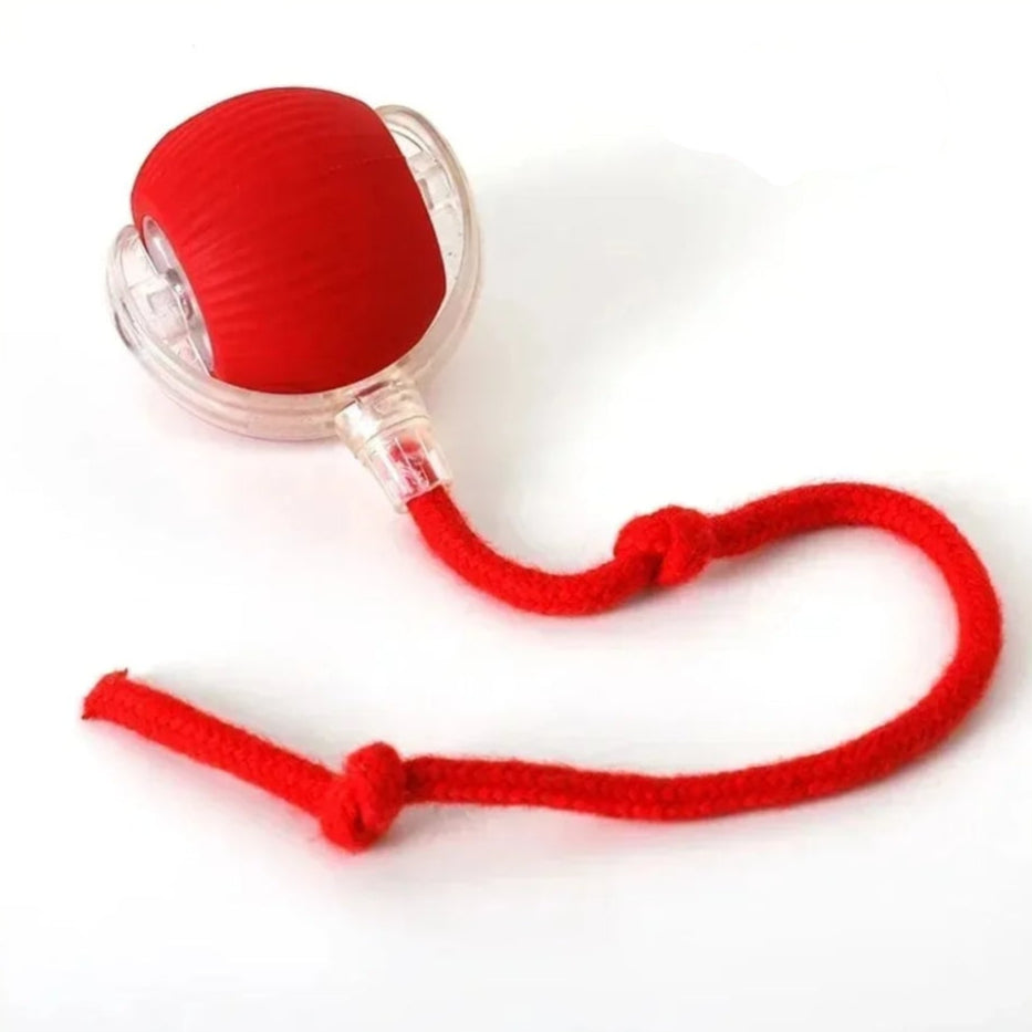 Interactive Cat Toy Ball