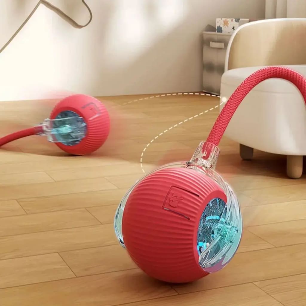 Interactive Cat Toy Ball