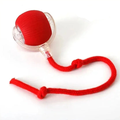 Interactive Cat Toy Ball