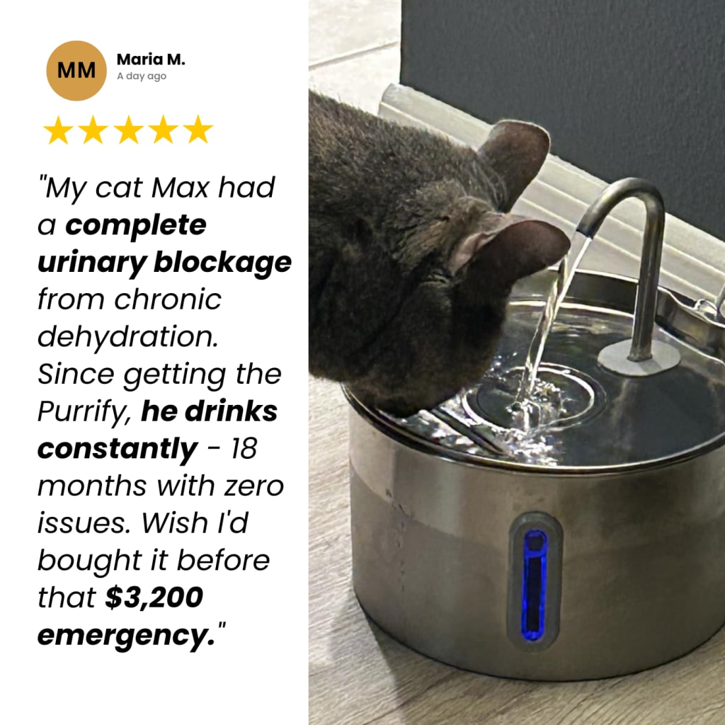 Keep your feline safe from dehydration and kidney complications with PuriCat