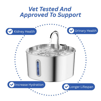Keep your feline safe from dehydration and kidney complications with PuriCat