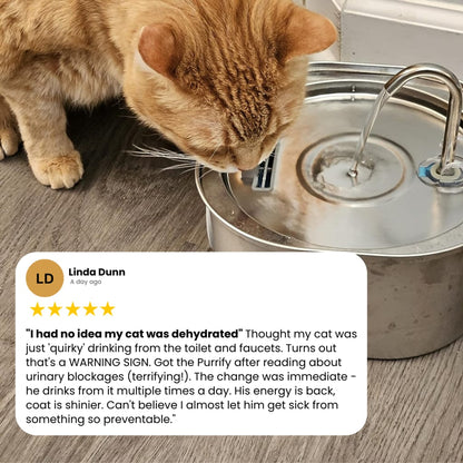 Keep your feline safe from dehydration and kidney complications with PuriCat