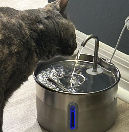 Keep your feline safe from dehydration and kidney complications with PuriCat