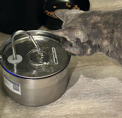 Keep your feline safe from dehydration and kidney complications with PuriCat