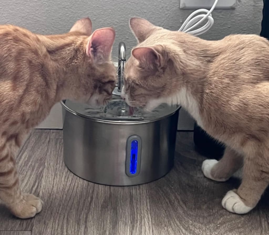Triple Filtration System
