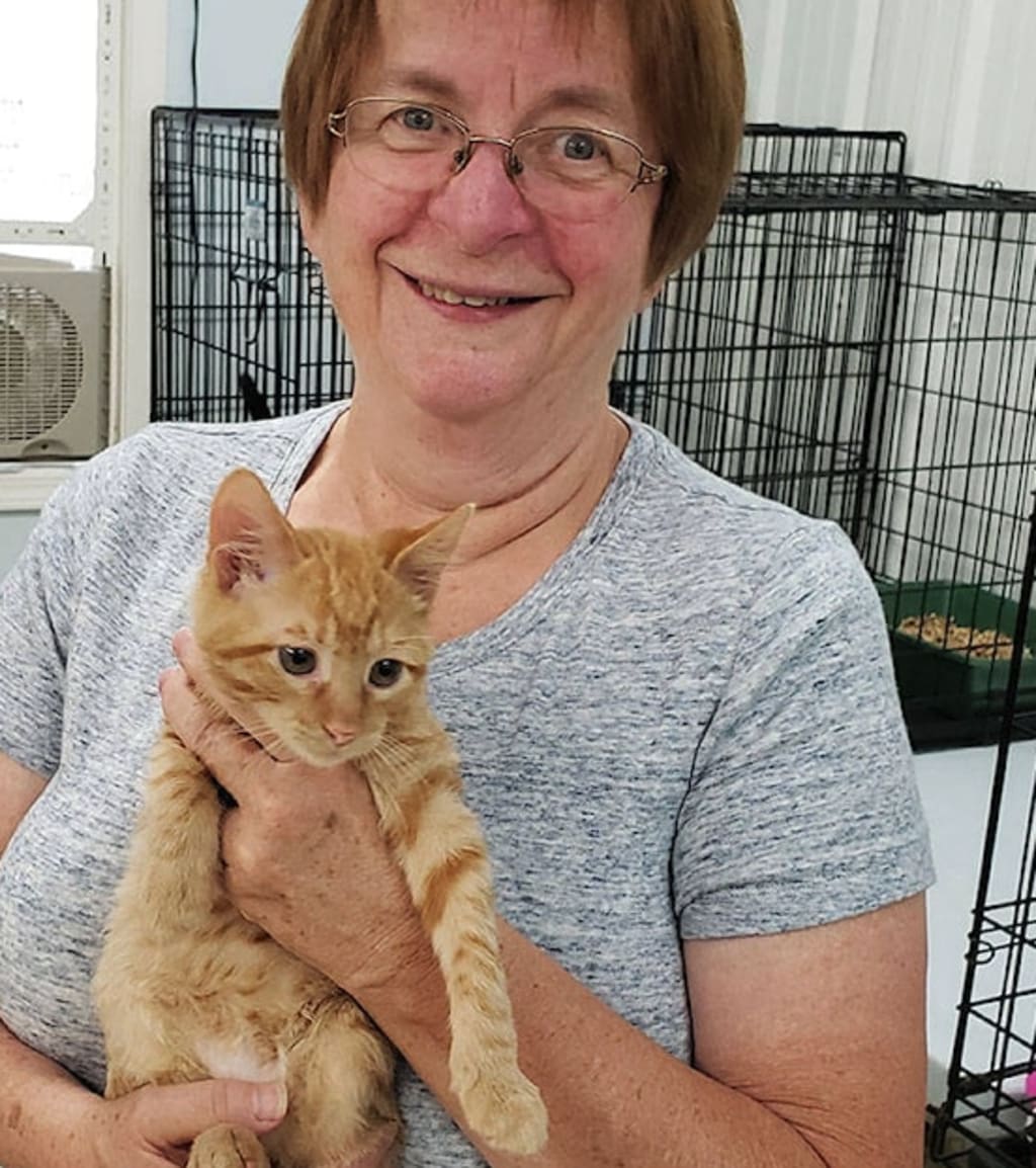 Keep your feline safe from dehydration and kidney complications with PuriCat