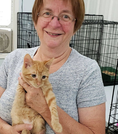 Keep your feline safe from dehydration and kidney complications with PuriCat